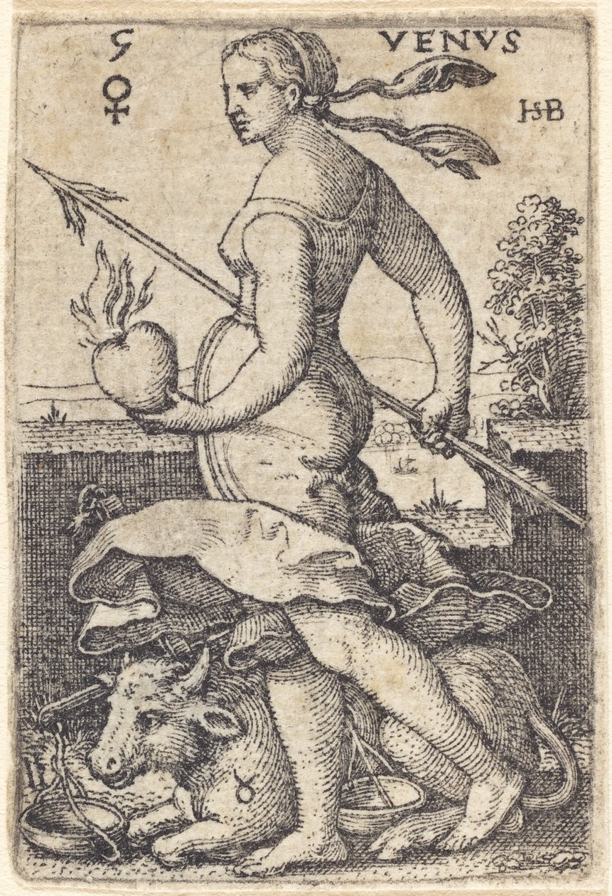 Wenus autorstwa Sebald Beham