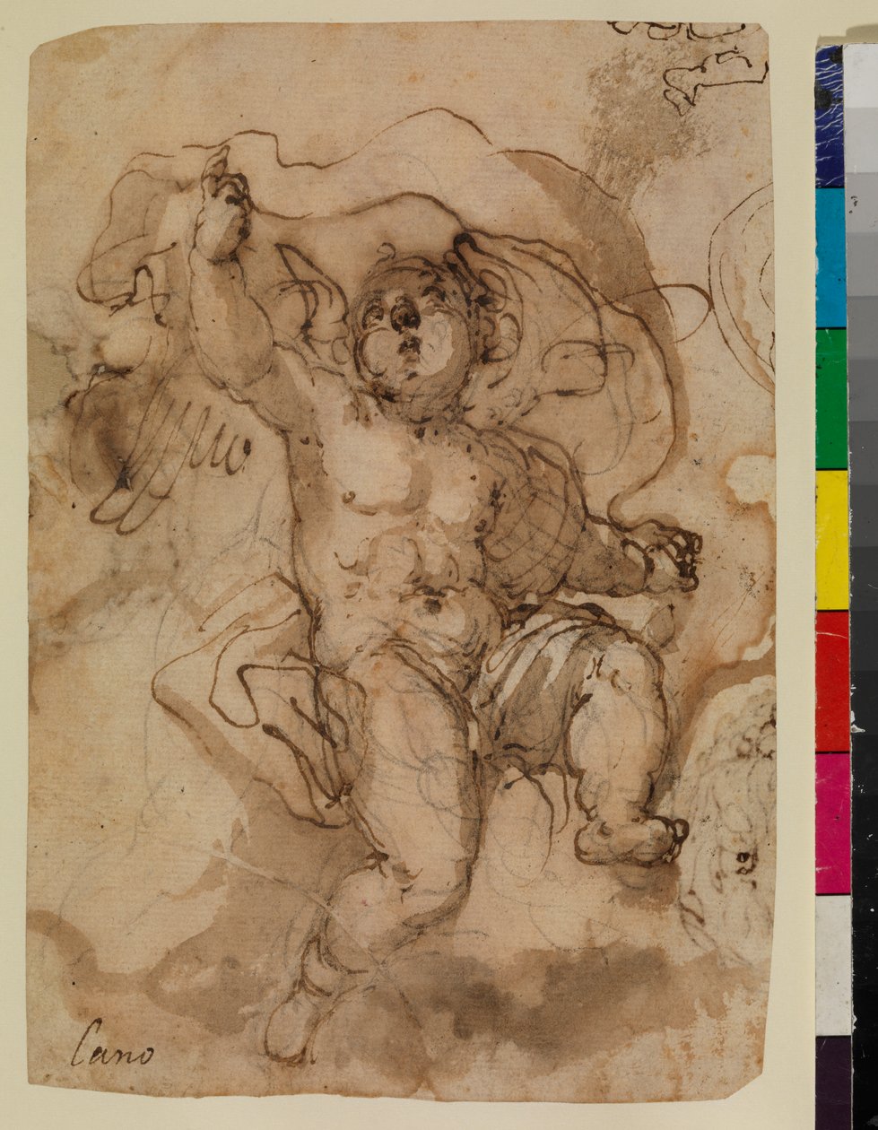 Putto na chmurze (recto) autorstwa Sebastian (attr.to) Munoz