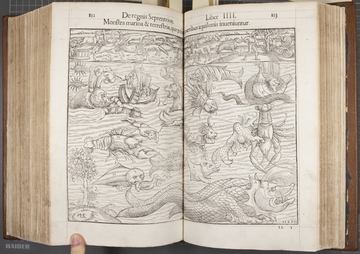 Kosmografia, Fol 852-853, 1544 autorstwa Sebastian Munster