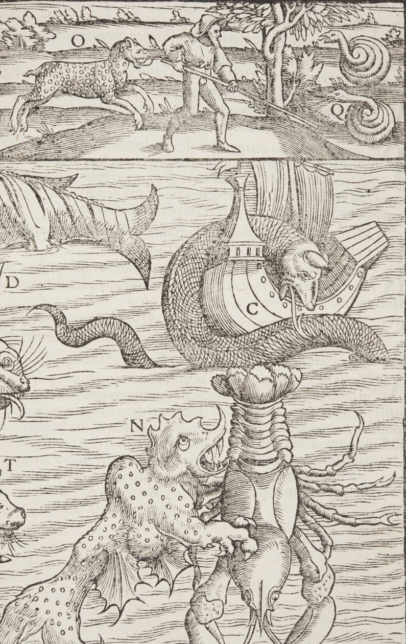 Kosmografia, Fol 853, 1544 autorstwa Sebastian Munster