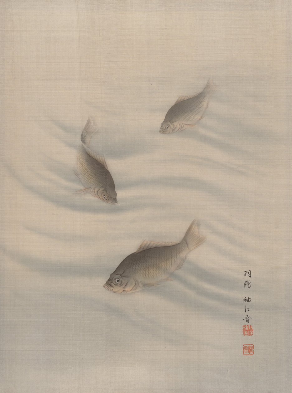 Ryby Pływanie, ca. 1890-92. autorstwa Seki Shuko