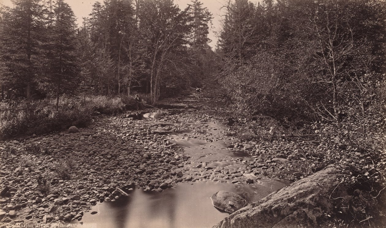 Marion River w obozie Bassetta autorstwa Seneca Ray Stoddard