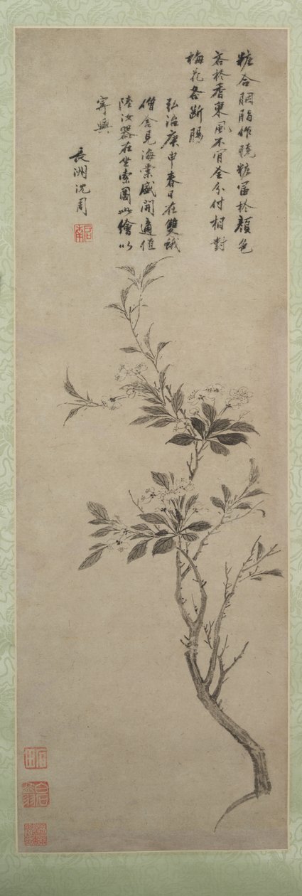 Kwitnące Jabłko Kraba, 1500. autorstwa Shen Zhou