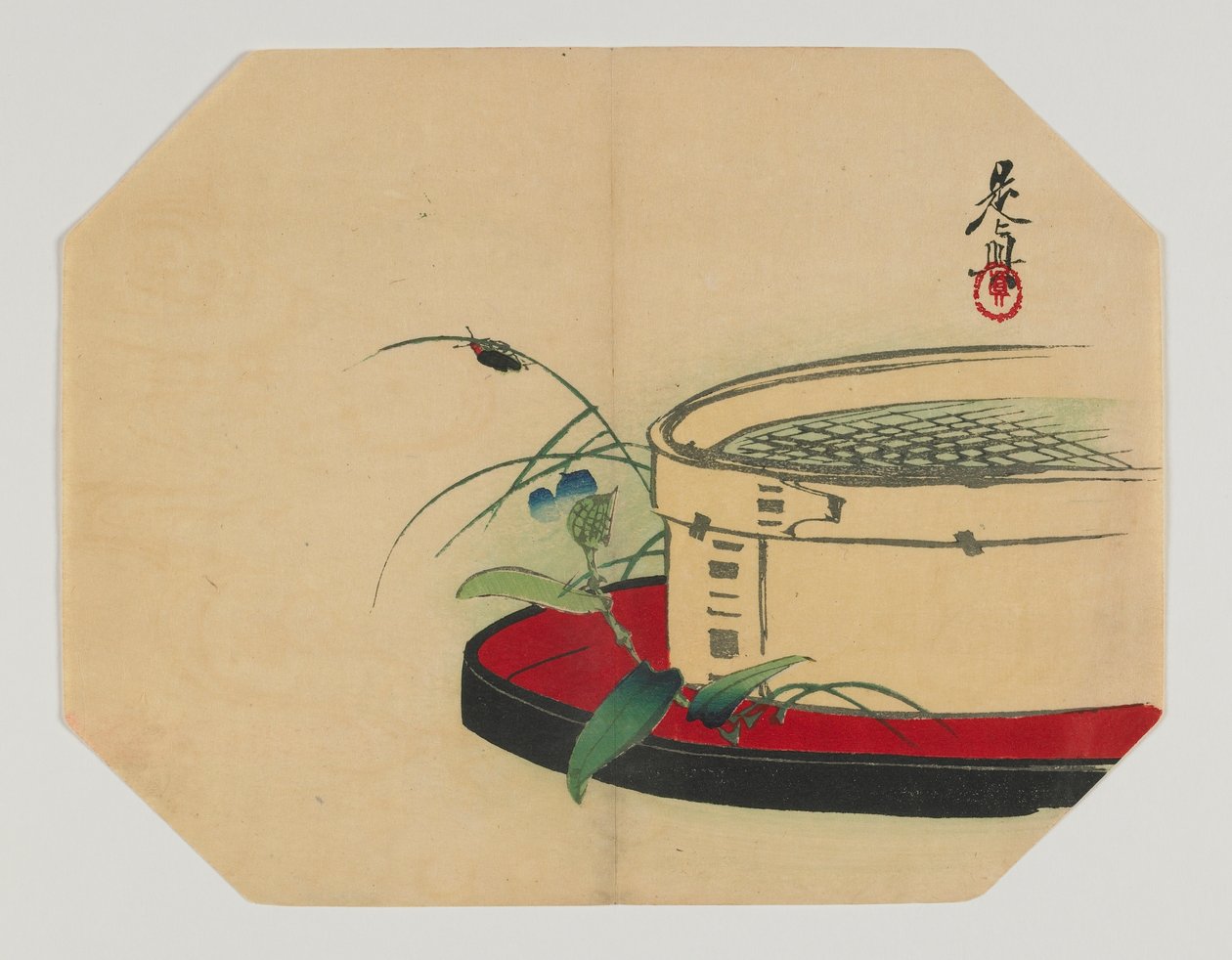 Drukuj dla uchiwy; świetlik na kwitnącej roślinie, z bambusowym sitkiem, epoka Meiji, koniec XIX w. (kolorowy drzeworyt) autorstwa Shibata Zeshin