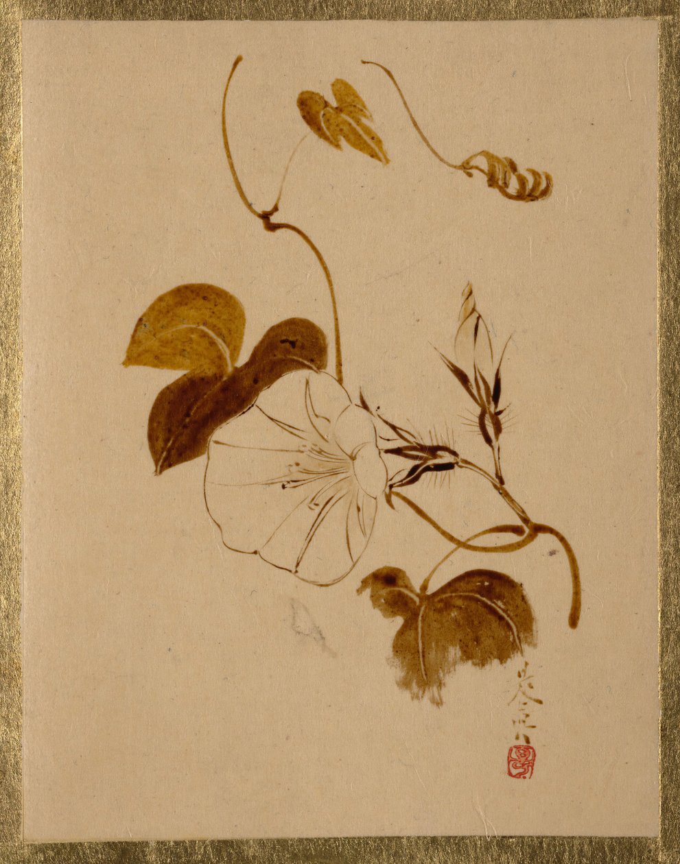 Powój. autorstwa Shibata Zeshin