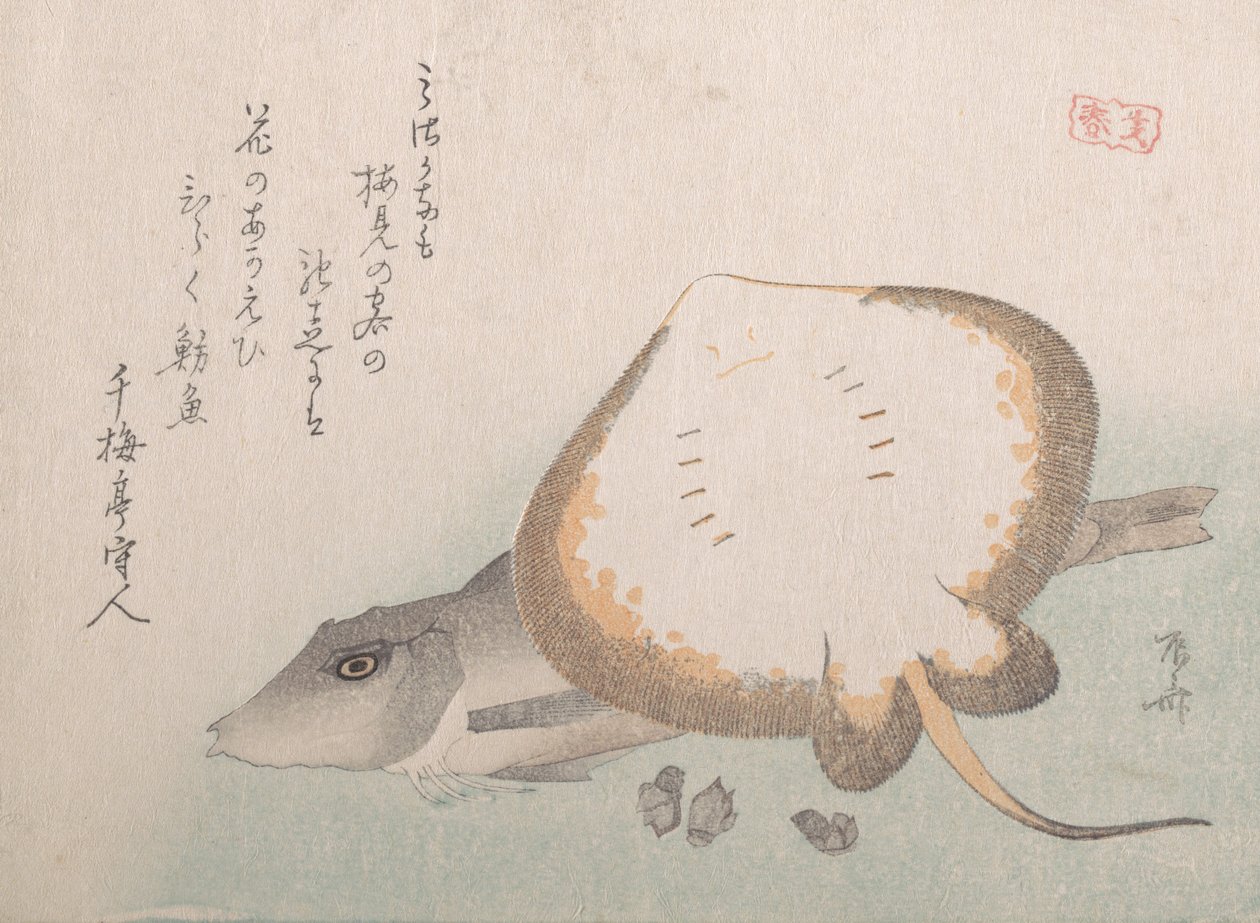 Stingray i Gurnard, prawdopodobnie 1815., prawdopodobnie 1815. autorstwa Shinsai