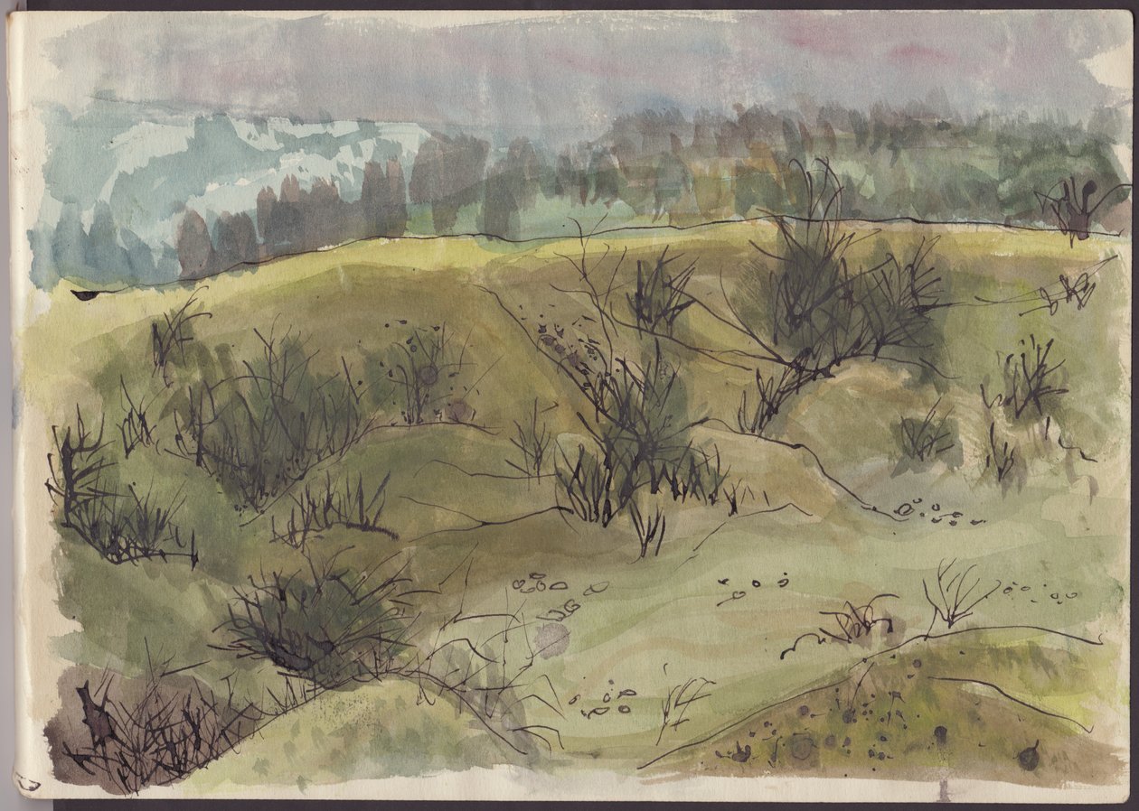 Krajobraz z krzakami, Włochy, ok. 1950 r. autorstwa Shirley Markham