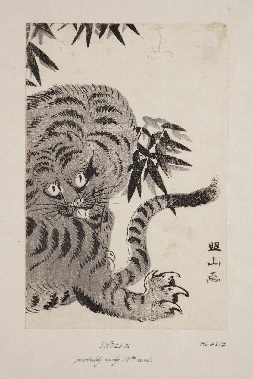 Tiger (kolorowy drzeworyt) autorstwa Shozan Shozan