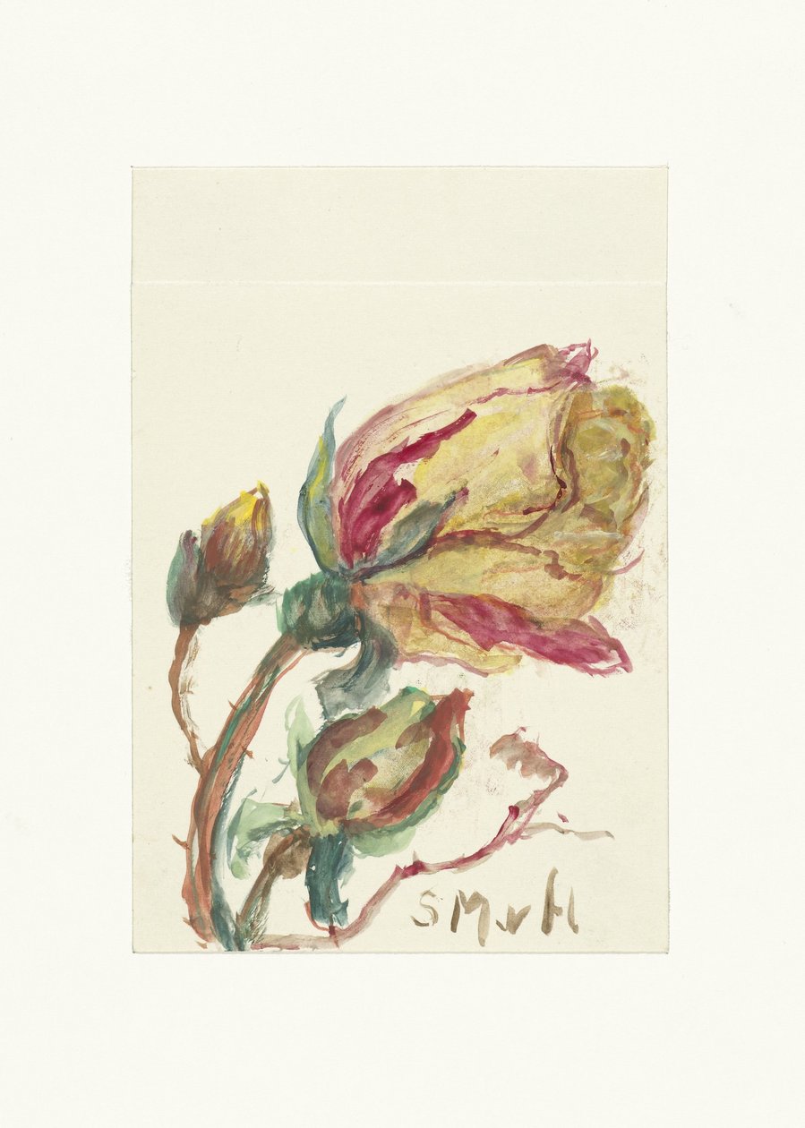 Roos autorstwa Sientje Mesdag van Houten