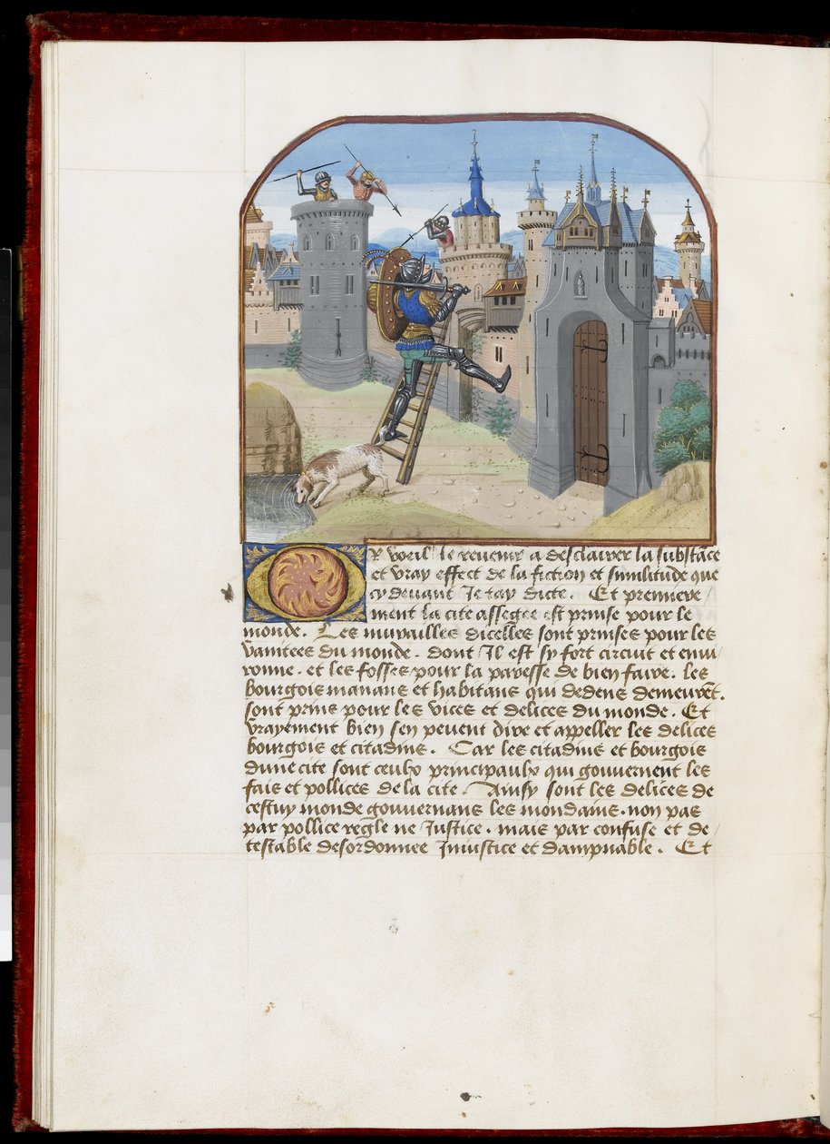 Ms.165 f.51v: Żołnierz z tarczą i mieczem wspinający się po drabinie skalnej, z Hesdin lub Valenciennes, c.1465-68 (pergamin) autorstwa Simon Marmion