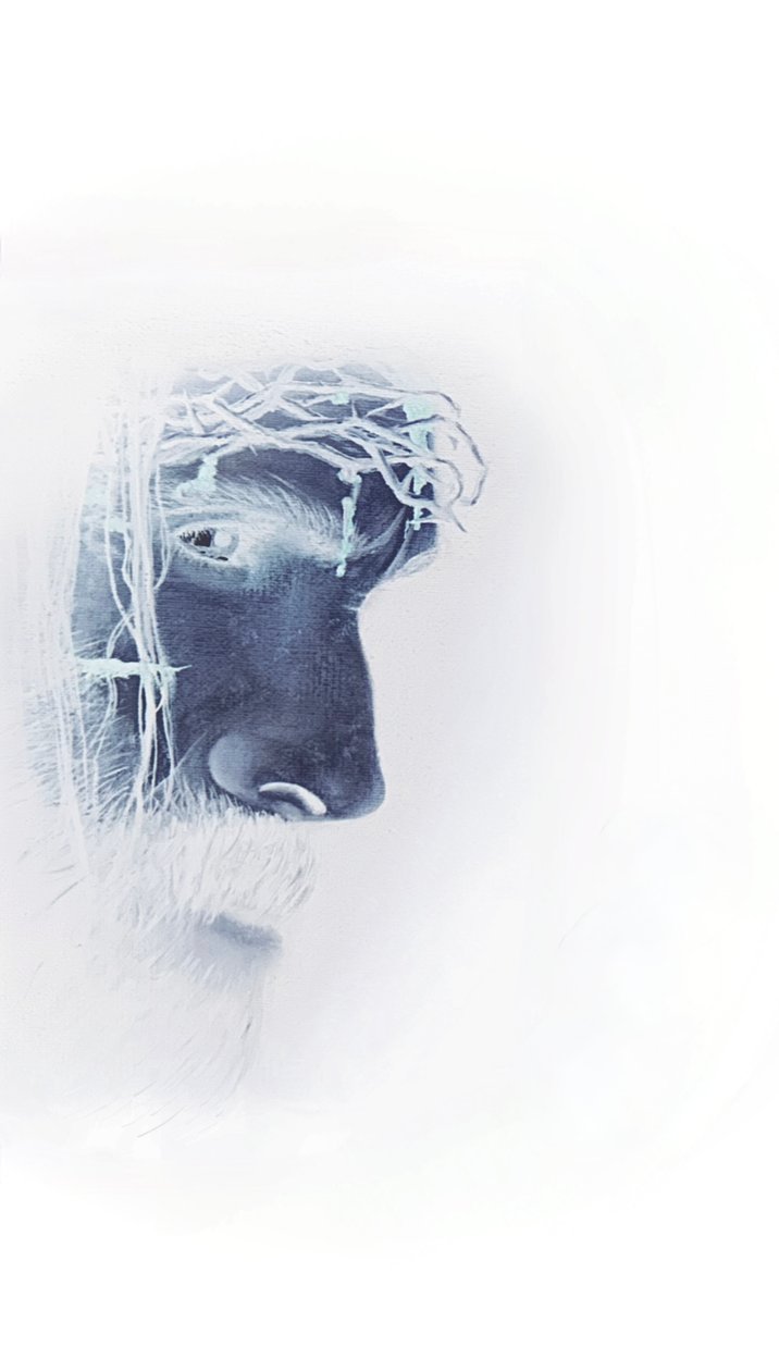 Jezus z koroną cierniową autorstwa Simone Amon
