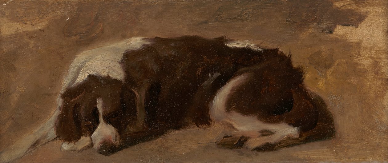Spaniel w pozycji leżącej autorstwa Sir Edwin Henry Landseer