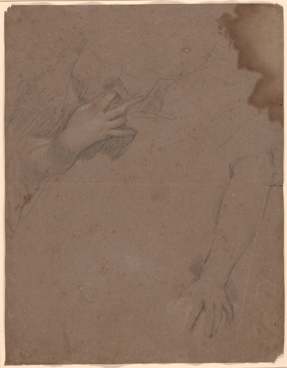 Rysunki rąk autorstwa Sir Peter Lely