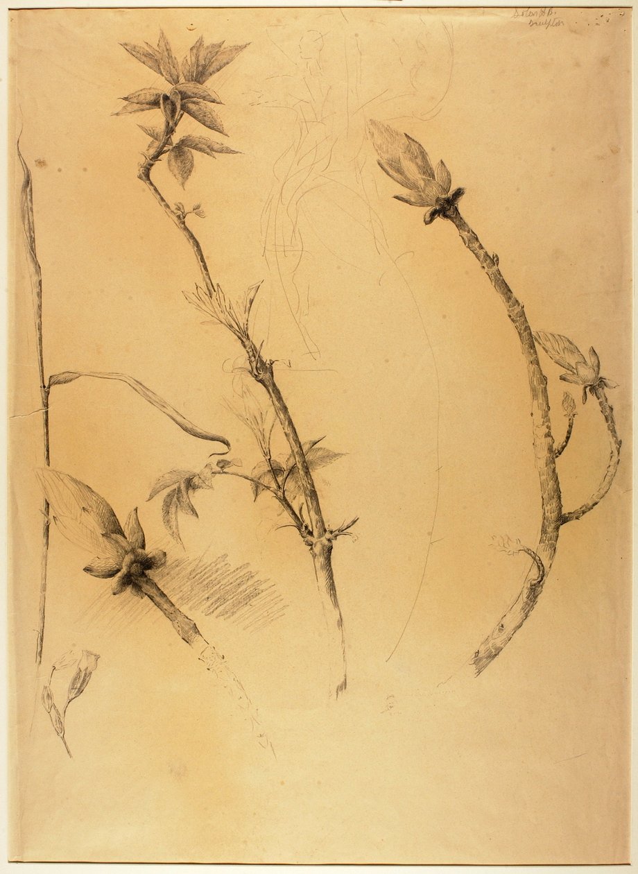 Oddziały autorstwa Solon H. Borglum