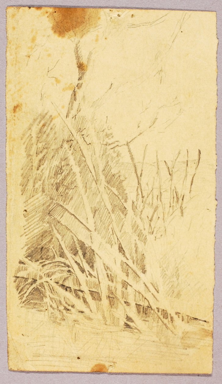 Liście autorstwa Solon H. Borglum