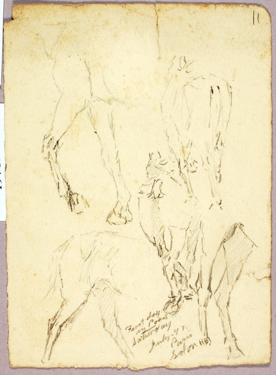 Konie autorstwa Solon H. Borglum