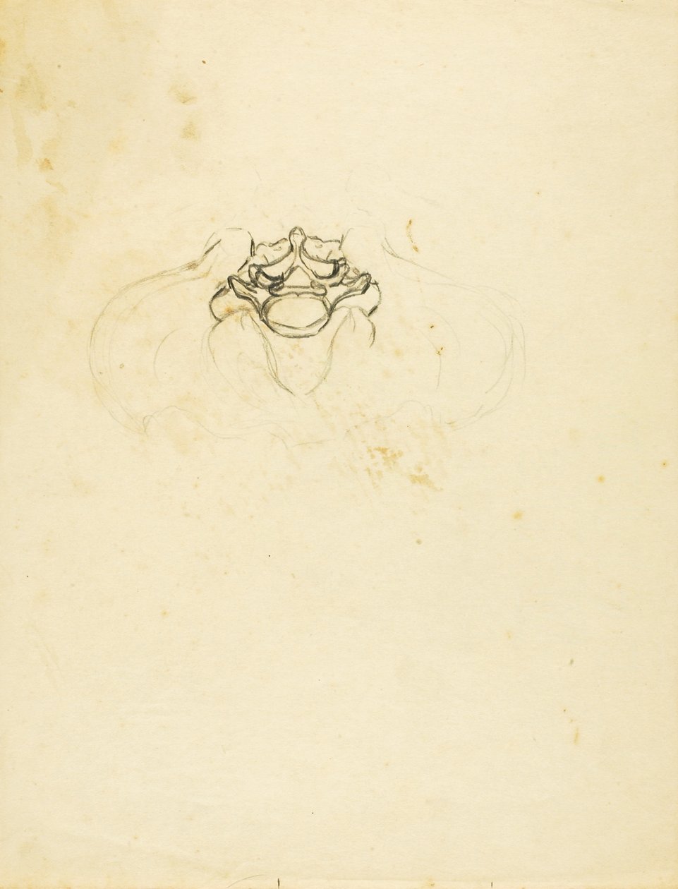 Miednica autorstwa Solon H. Borglum