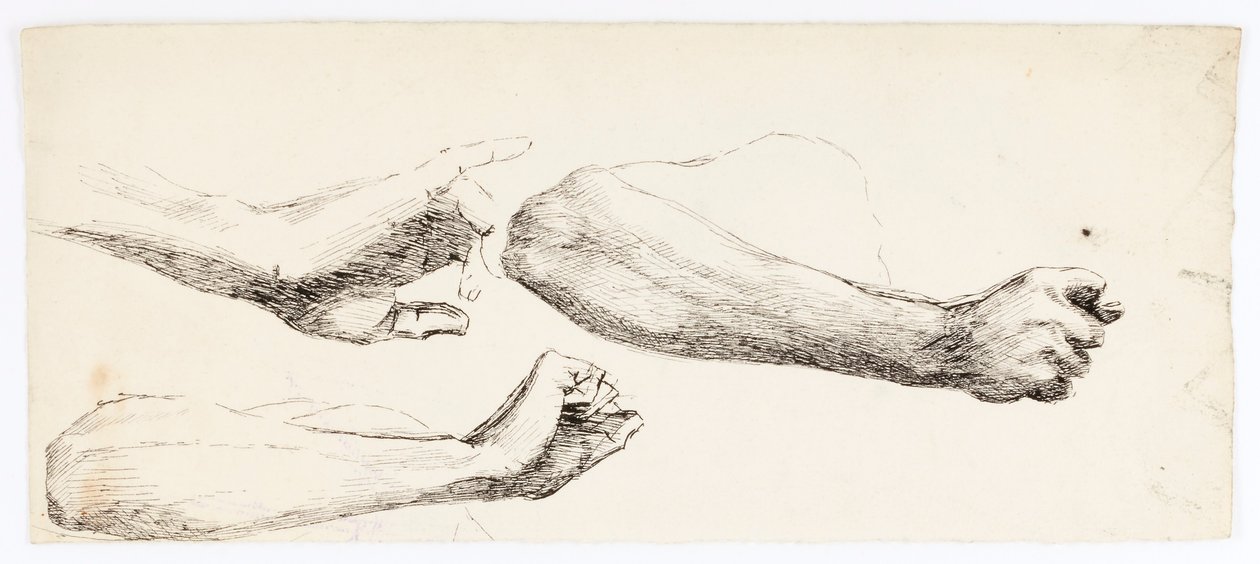 Badania na trzech ramionach autorstwa Solon H. Borglum