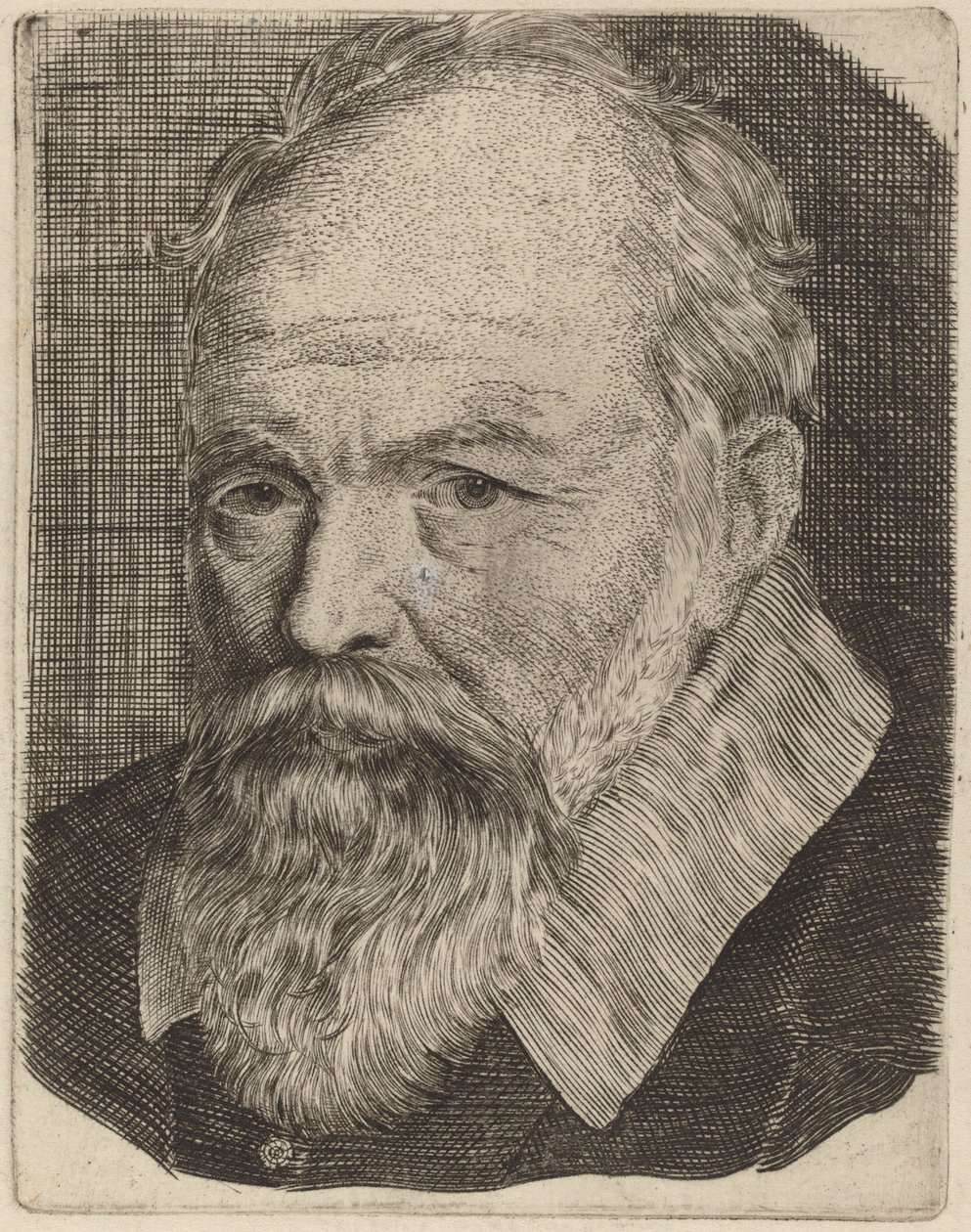 Portret mężczyzny autorstwa Stefano della Bella