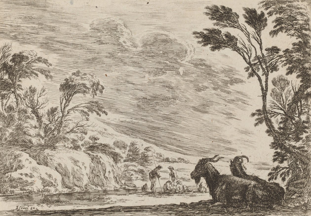 Dwie leżące kozy, 1642. autorstwa Stefano della Bella