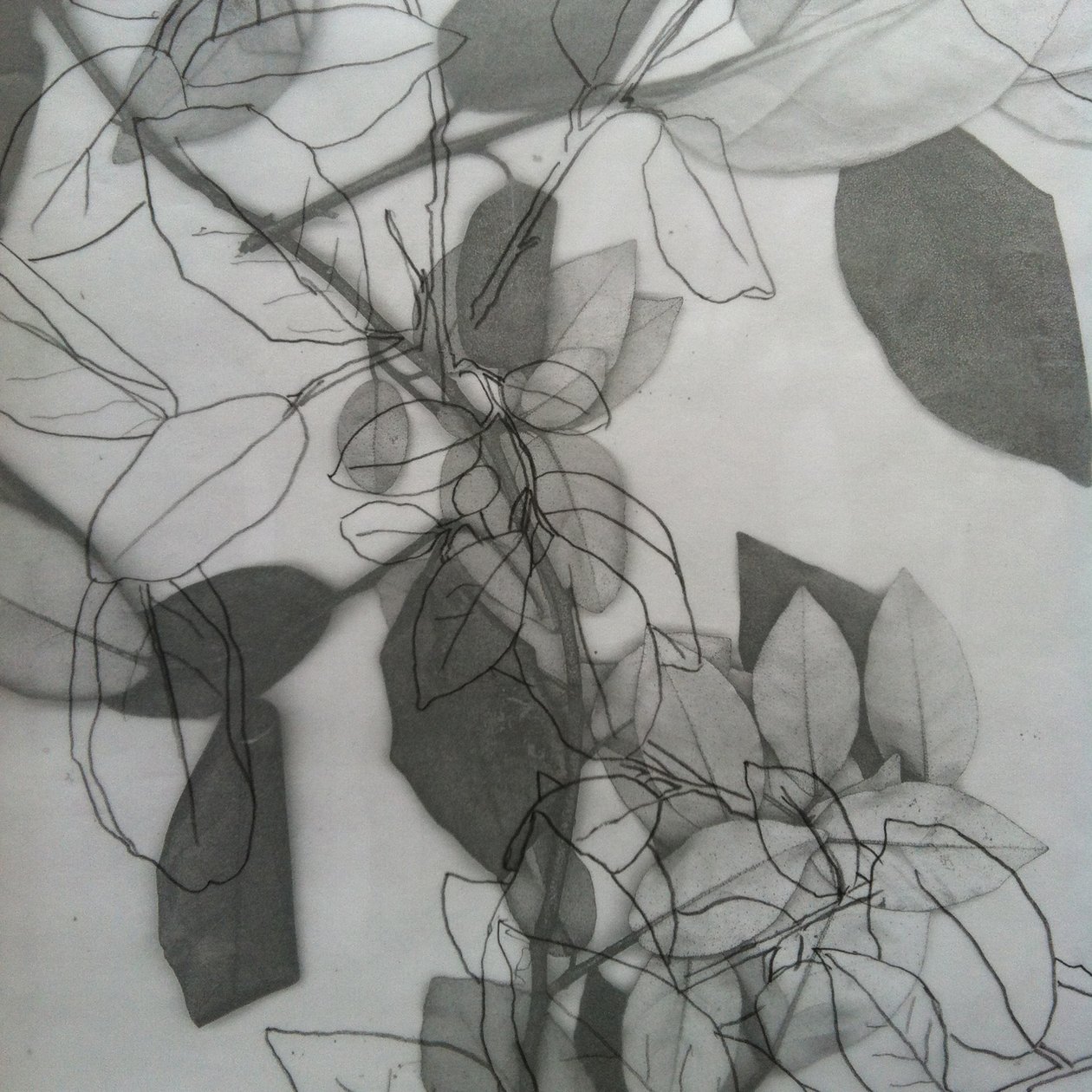 Botanical, 2014 (cyfrowy) autorstwa Stephen Dow