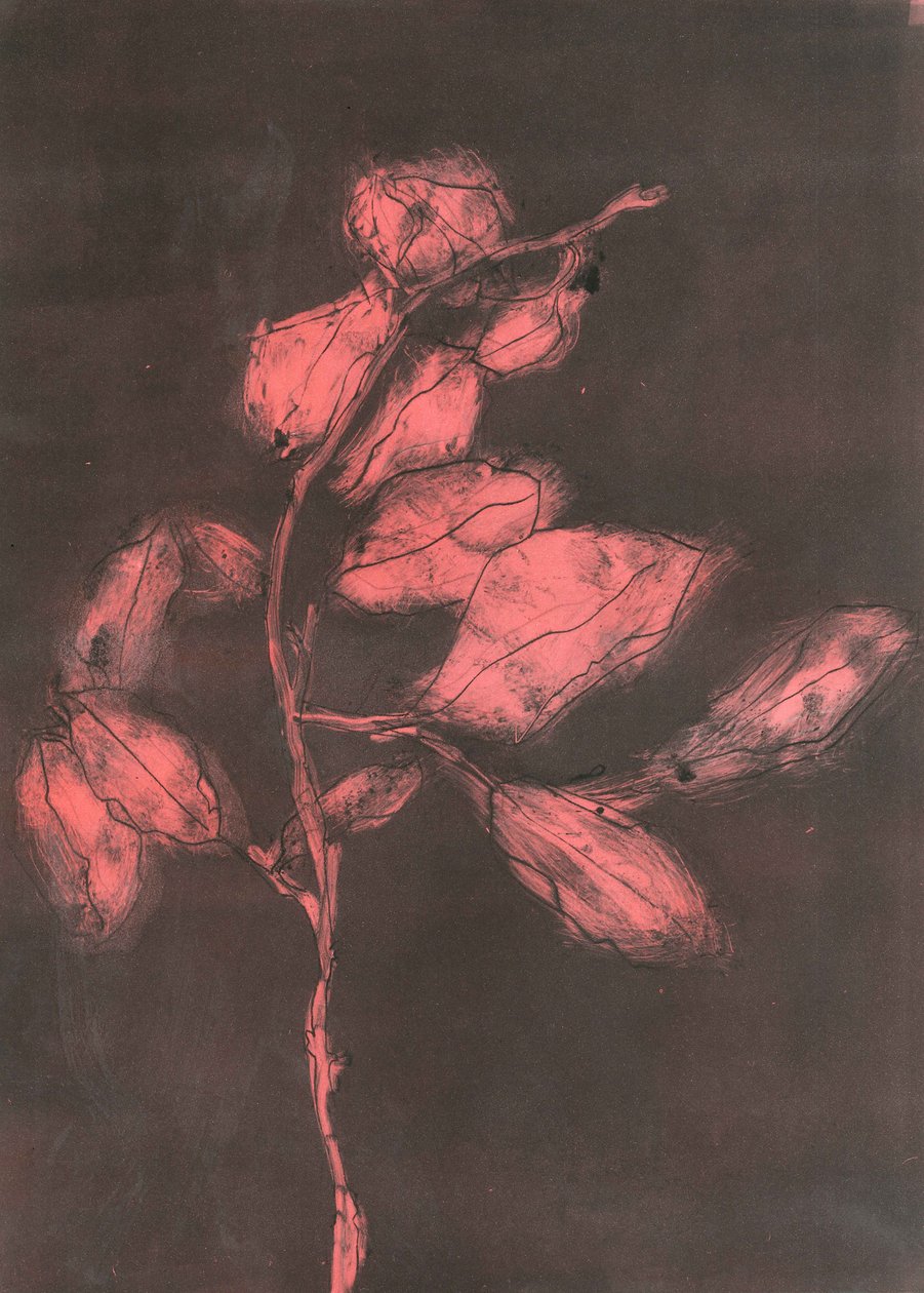 Foliage I, 2015 (monoprint na papierze) autorstwa Stephen Dow