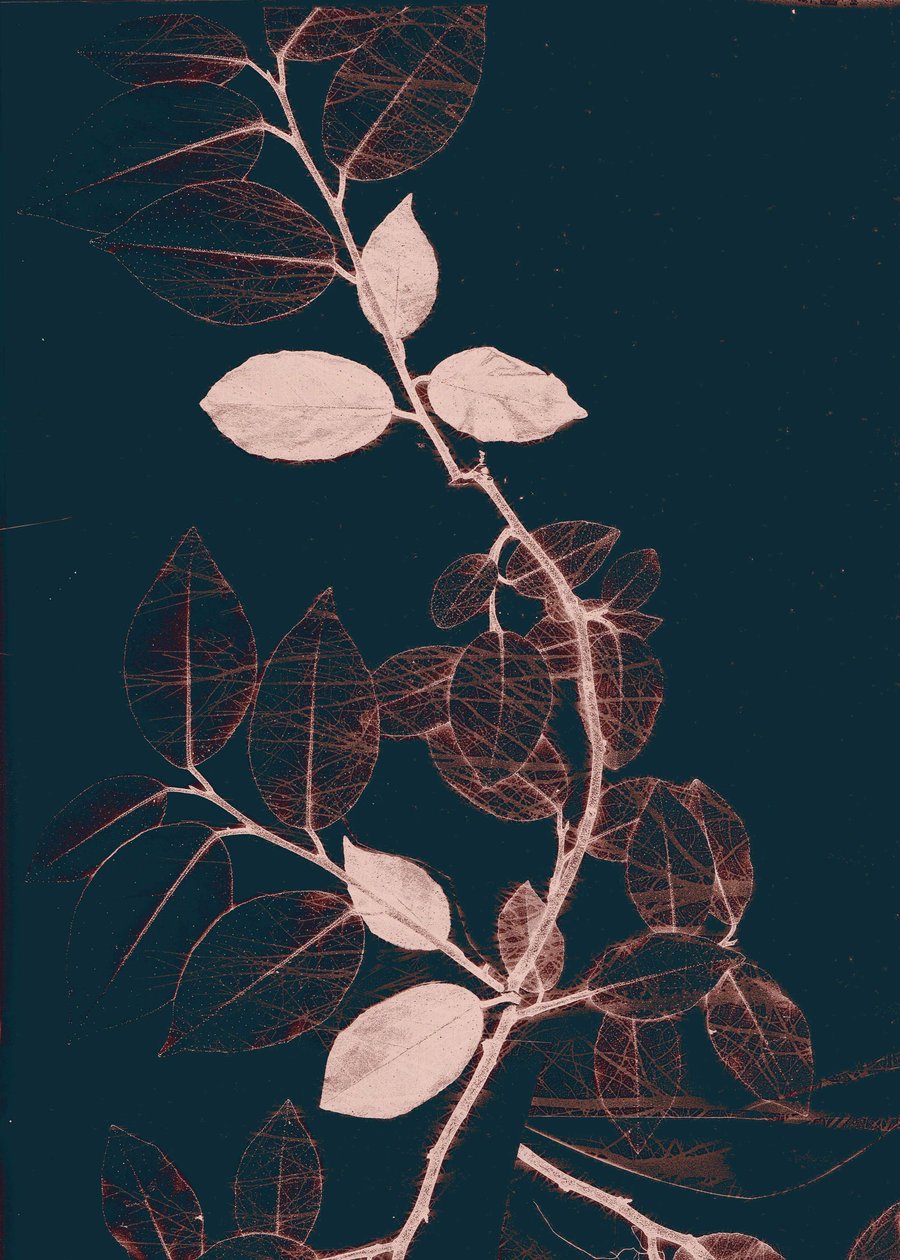 Freyr VII Dark Copper, 2018 (wersja cyfrowa) autorstwa Stephen Dow