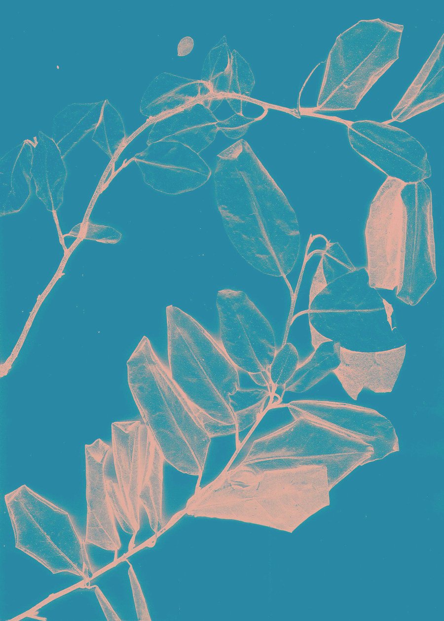 Freyr VI Dawn, 2018 (digital) autorstwa Stephen Dow