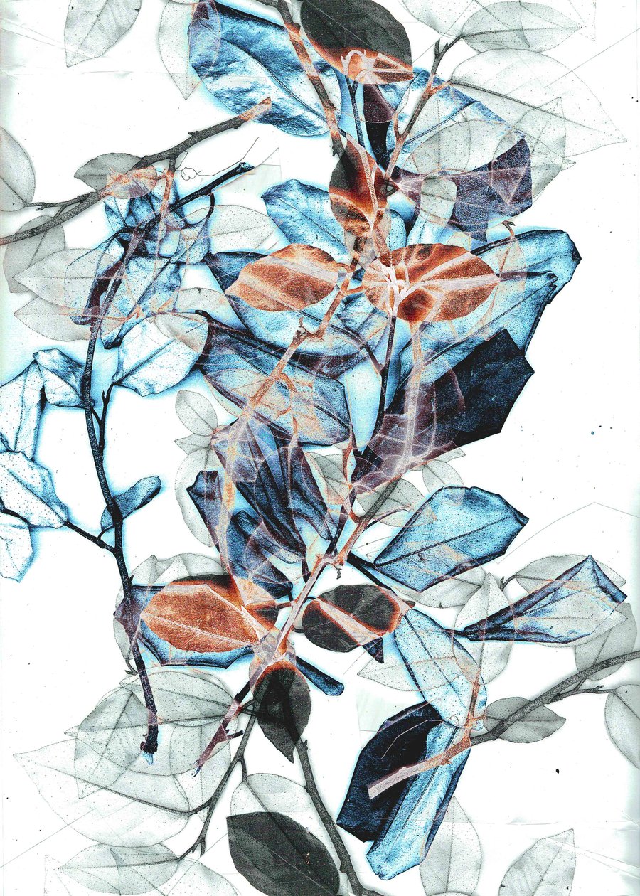 Freyr X, 2018 (w wersji cyfrowej) autorstwa Stephen Dow