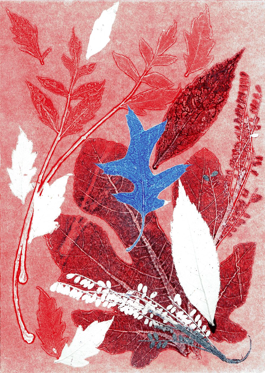 Jol III, 2017 (monoprint na papierze) autorstwa Stephen Dow
