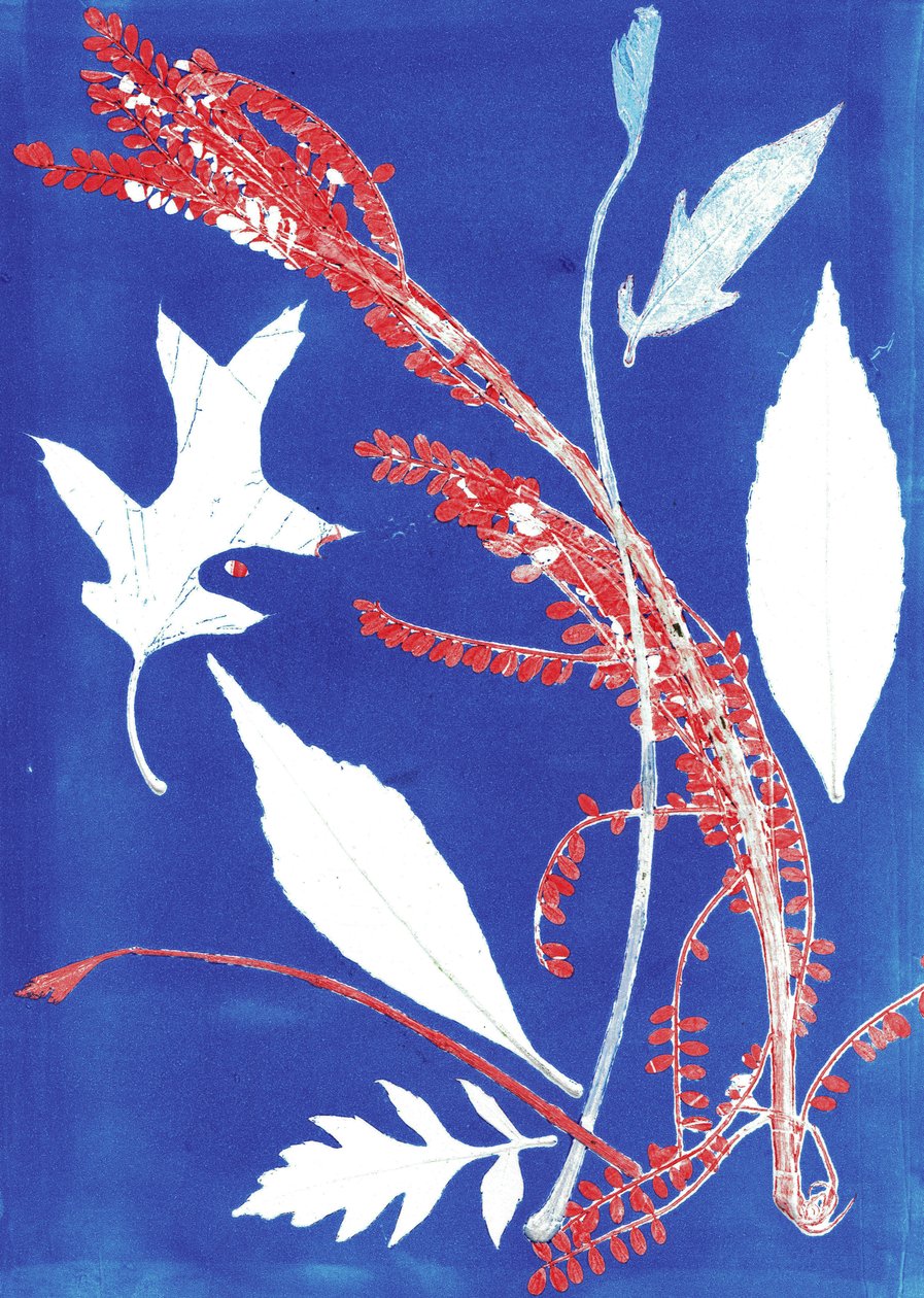 Jol I, 2017 (monoprint na papierze) autorstwa Stephen Dow