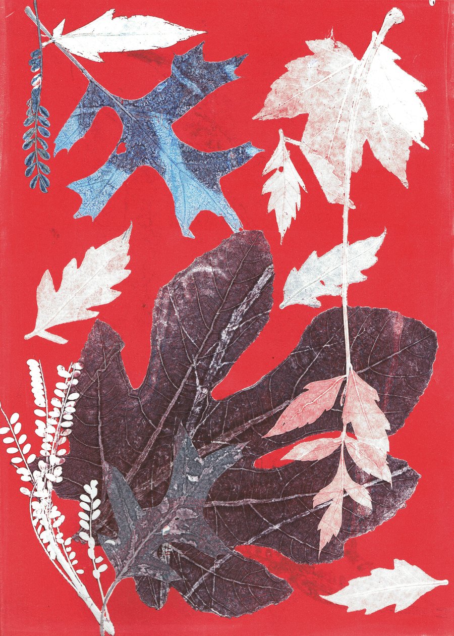 Jol XII, 2017 (monoprint na papierze) autorstwa Stephen Dow