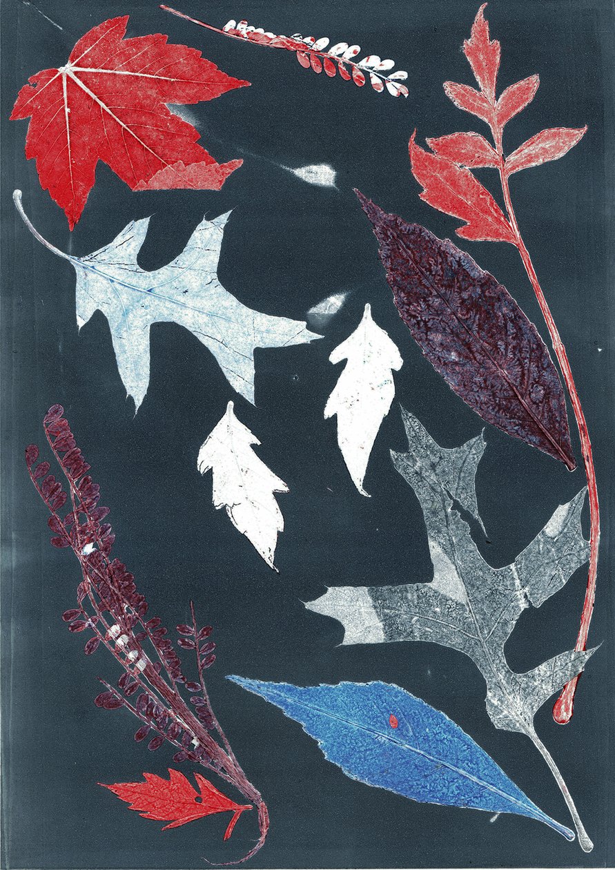 Jol X, 2017 (monoprint na papierze) autorstwa Stephen Dow