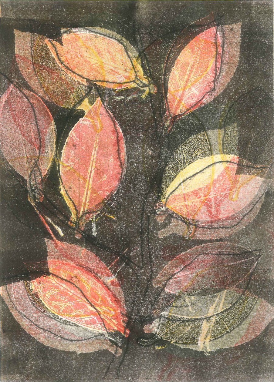 Midnight Garden V, 2015 (monoprint na papierze) autorstwa Stephen Dow