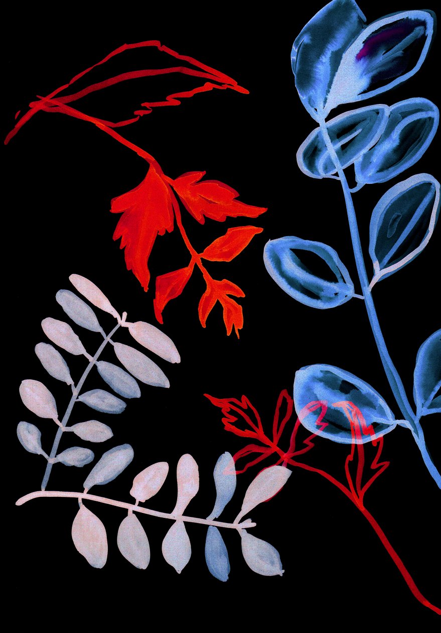 Nocna flora IV, 2018 (wideo) autorstwa Stephen Dow