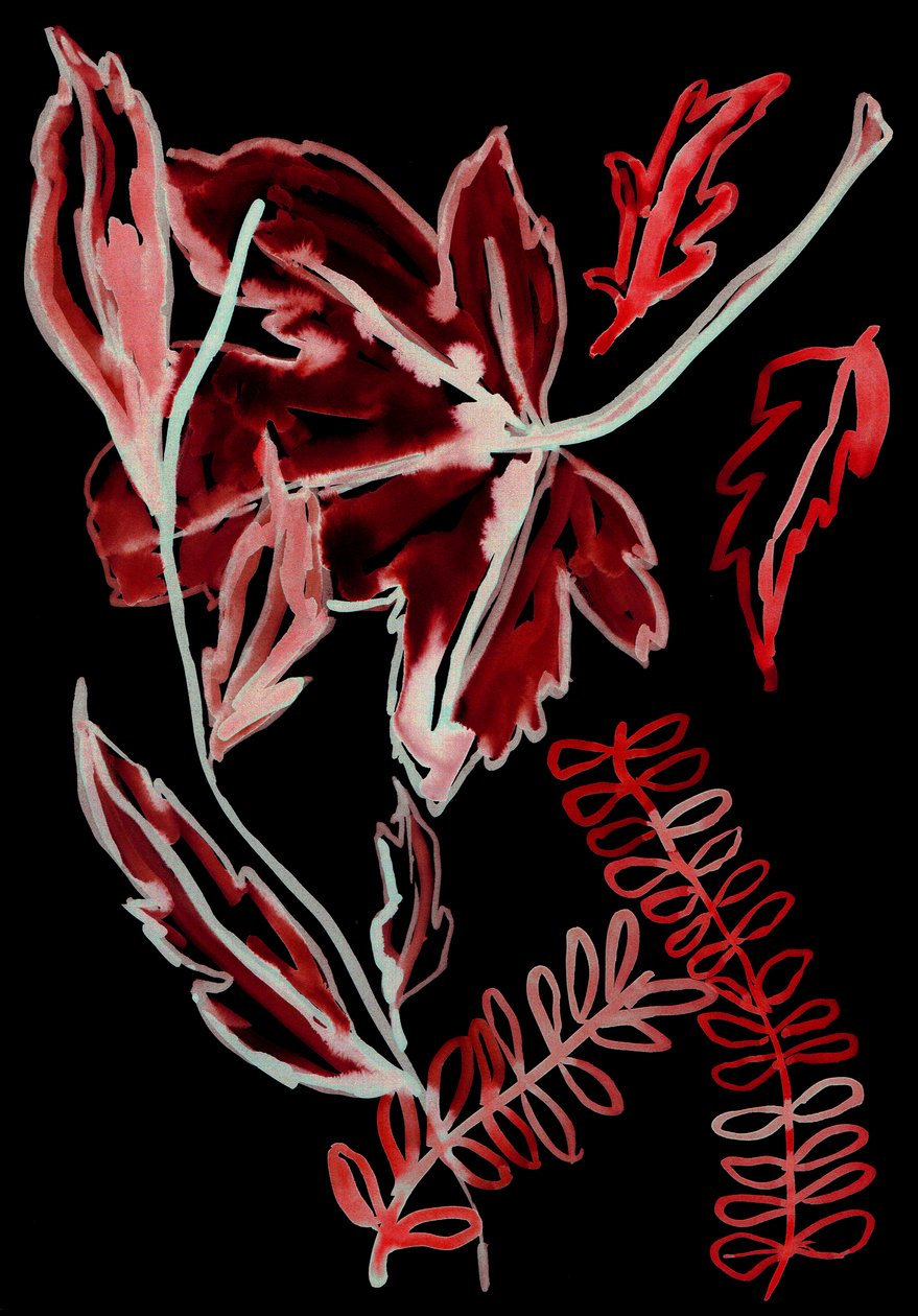 Flora nocna I, 2018 (cyfrowy) autorstwa Stephen Dow