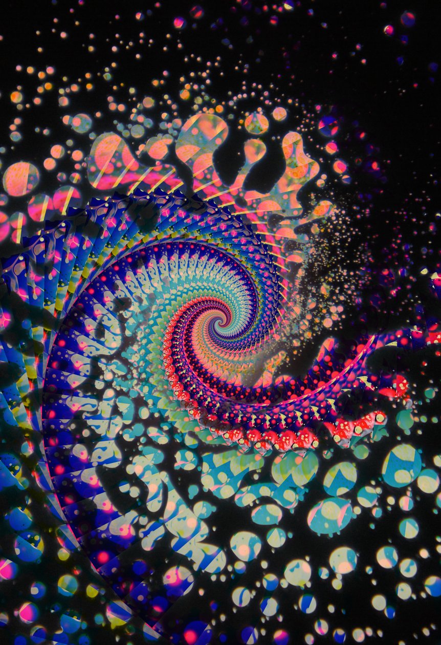 Spiral Dead, 2024 r. autorstwa Steve Pavlovsky