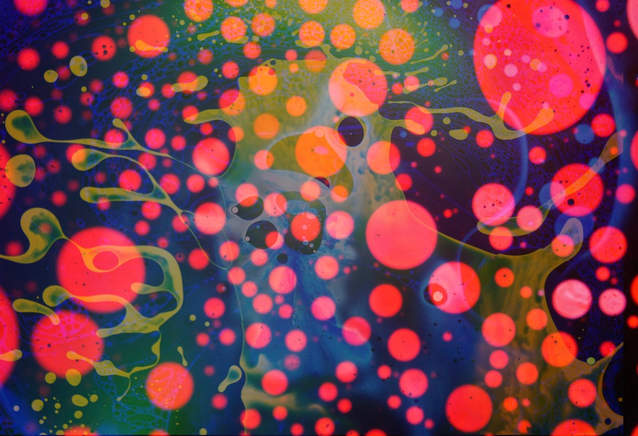 Splatter Monster, 2024 r. autorstwa Steve Pavlovsky