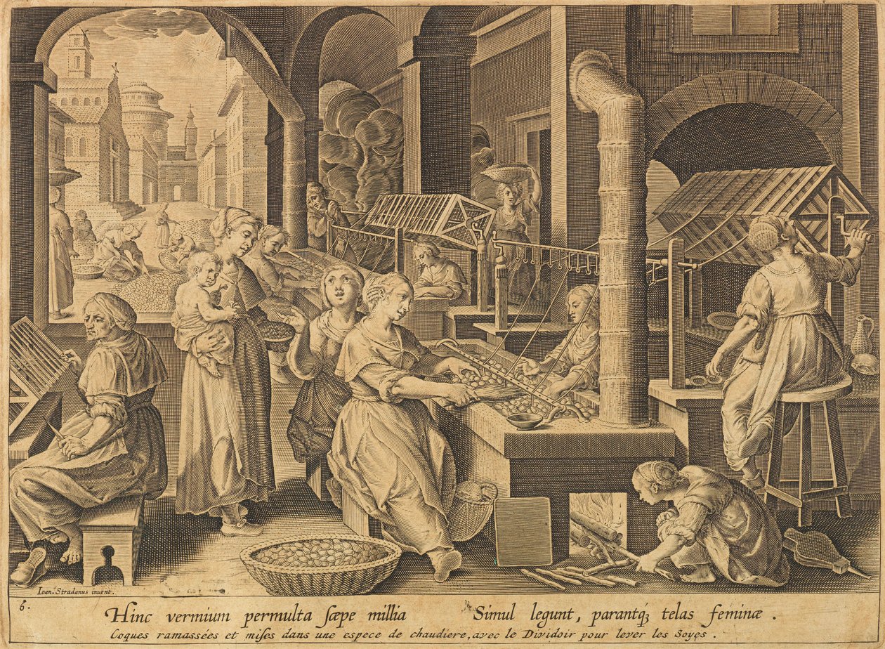 Ekstrakcja jedwabiu Vermis sericus, po 1640 r. autorstwa Stradanus