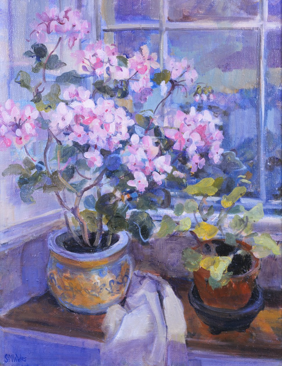 Różowa pelargonia na siedzeniu przy oknie, 1996, autorstwa Sue Wales