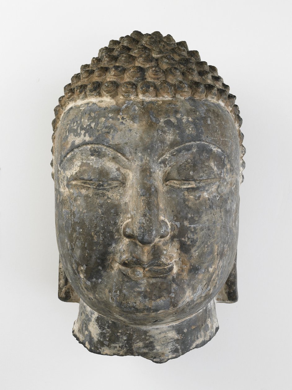Kolosalna głowa Buddy autorstwa Sui Dynasty Chinese School