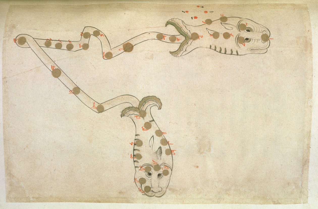 Reprezentacje zodiaku: Ryby, ryby, 1497-1498 (903 Hijra) autorstwa Suvar Al Kavakib