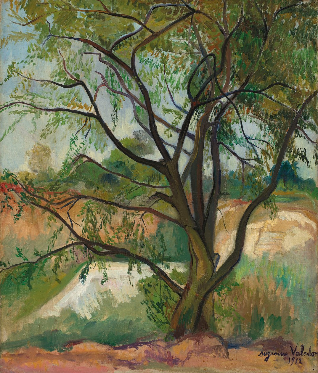 Drzewo, 1912. autorstwa Suzanne Valadon