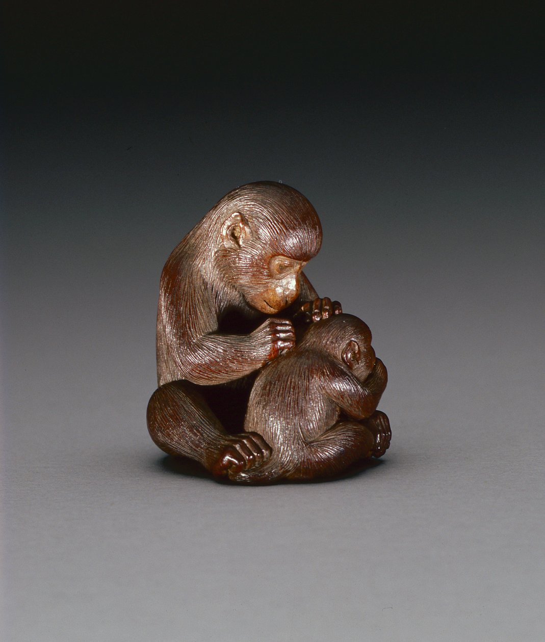 Netsuke przedstawiający matkę małpę i jej syna, ok. 1880-1900 (drewno) (odwrotnie patrz 208393) autorstwa Suzuki Tokuku