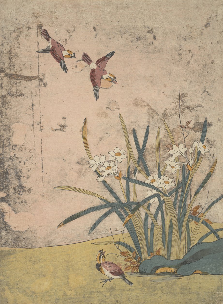 Ptaki i Narcyz. autorstwa Suzuki Harunobu