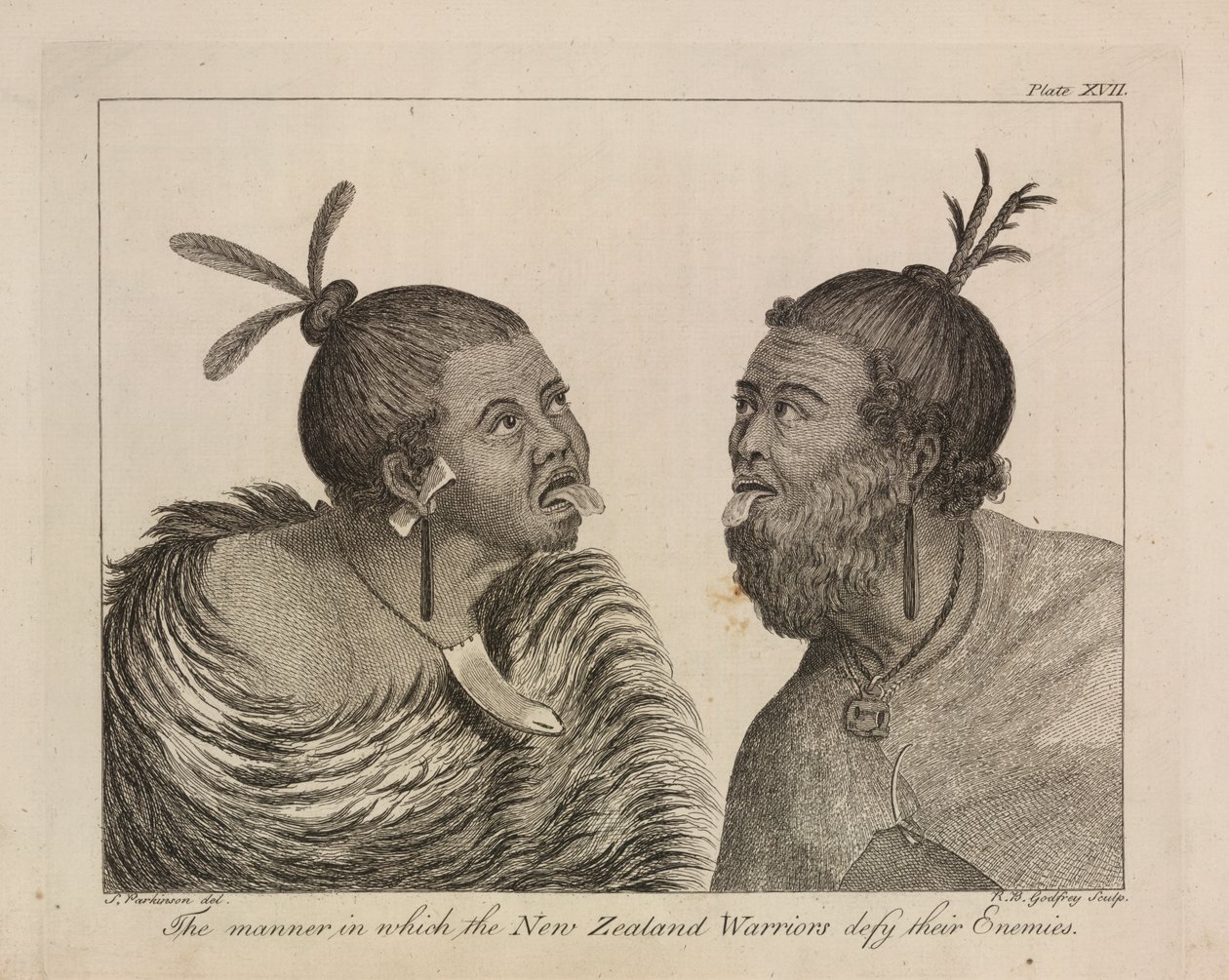 L.R.294.c.7, płyta XVII nowozelandzcy wojownicy autorstwa Sydney (after) Parkinson