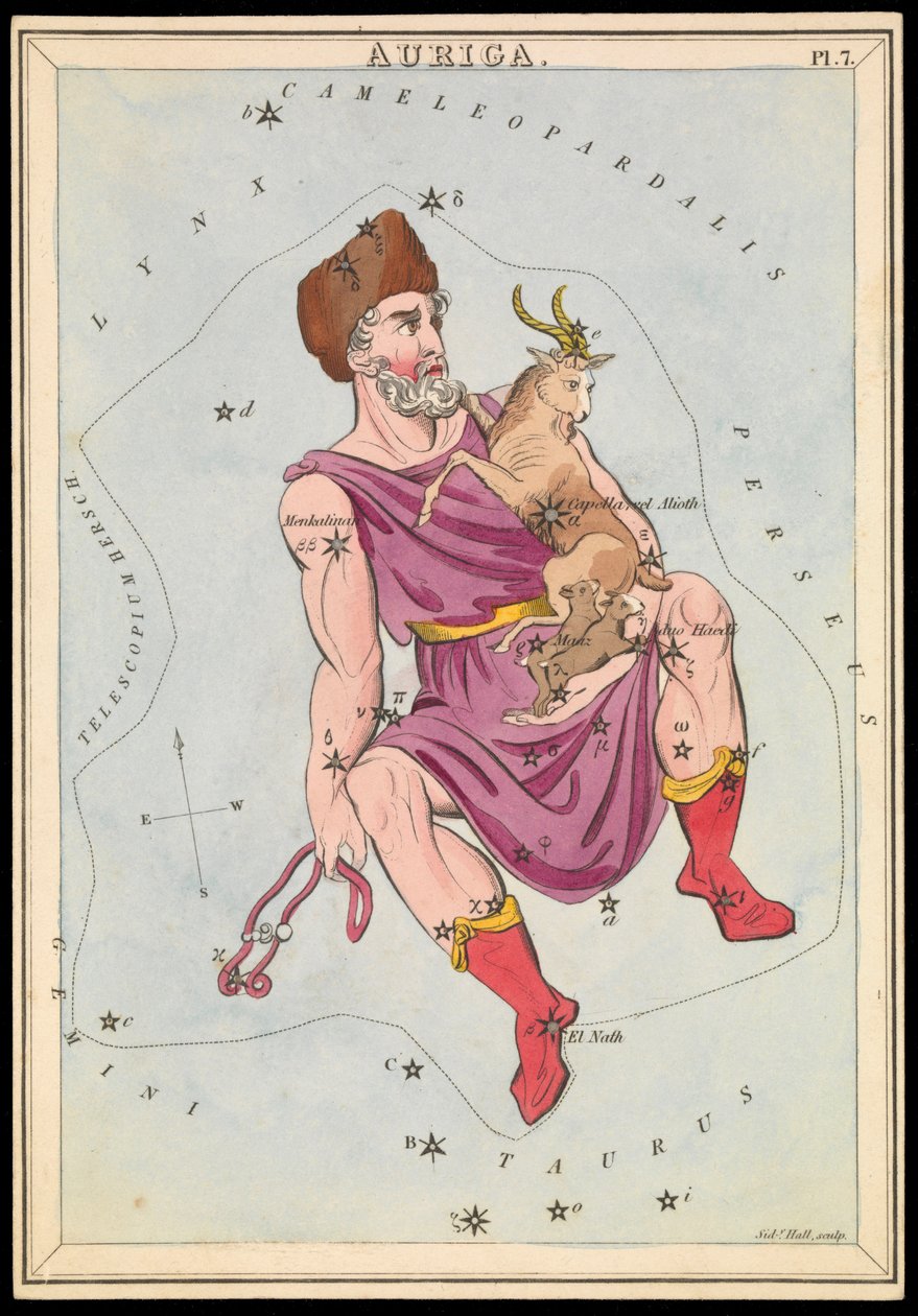 Auriga, ok. 1825 (karta, papier, bibułka) autorstwa Sydney Hall