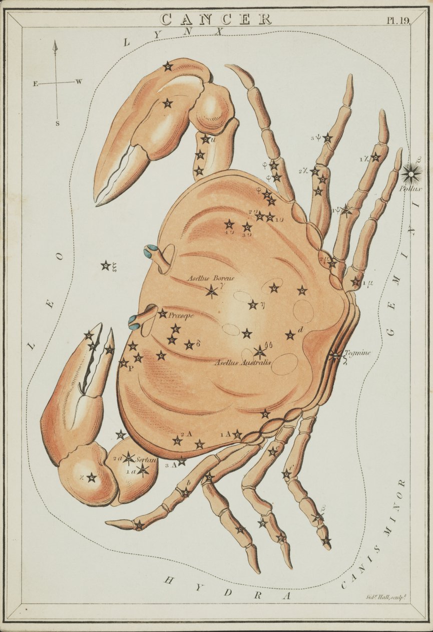 Rak, ilustracja z „Zwierciadła Urania” autorstwa Sydney Hall
