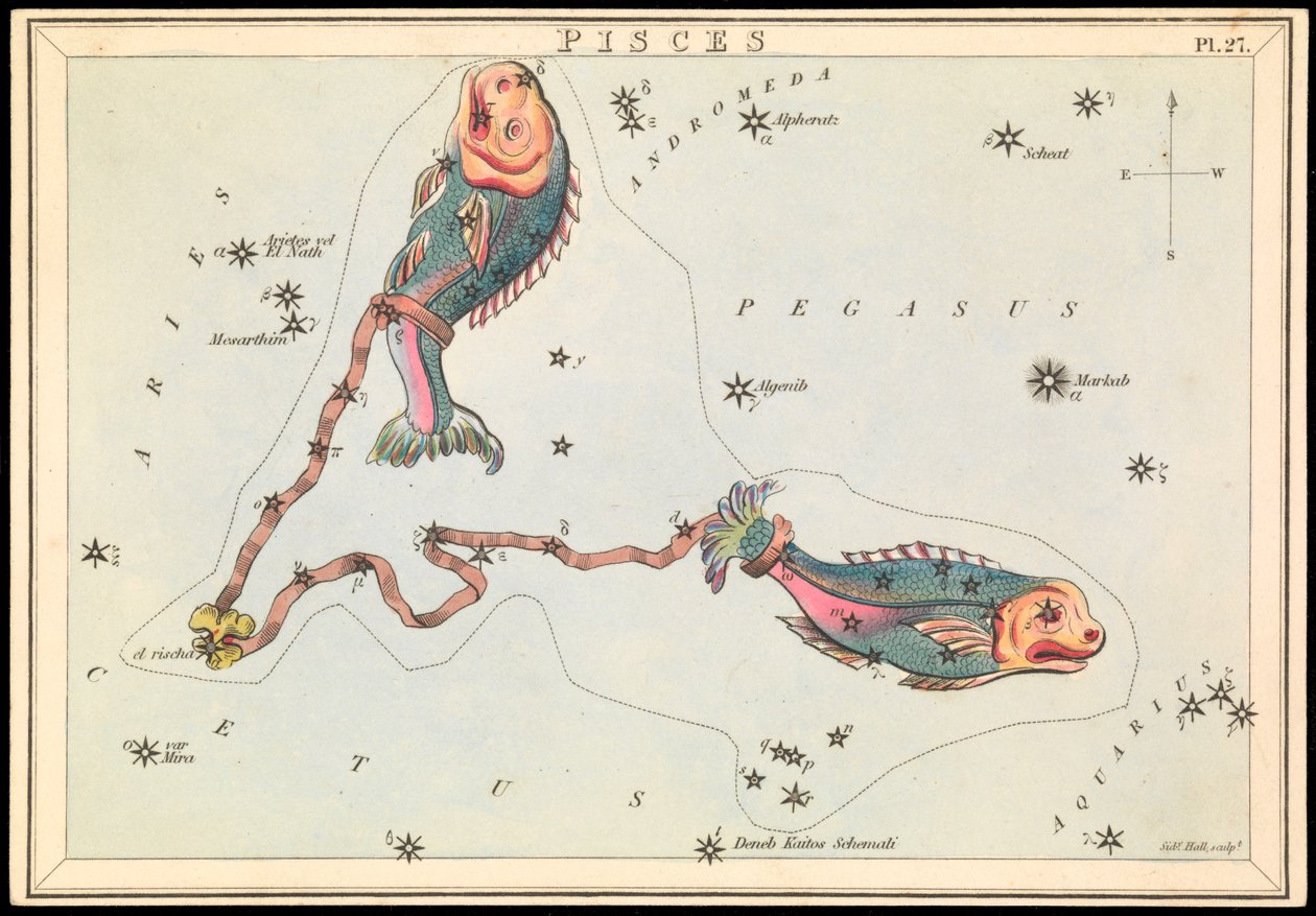Ryby, ok. 1825 (karta, papier, bibułka) autorstwa Sydney Hall