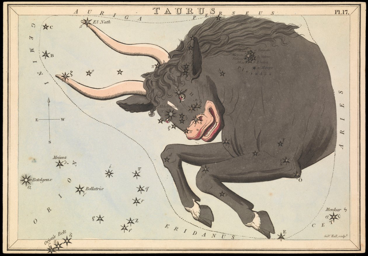 Taurus, ok. 1825 (karta, papier, bibułka) autorstwa Sydney Hall